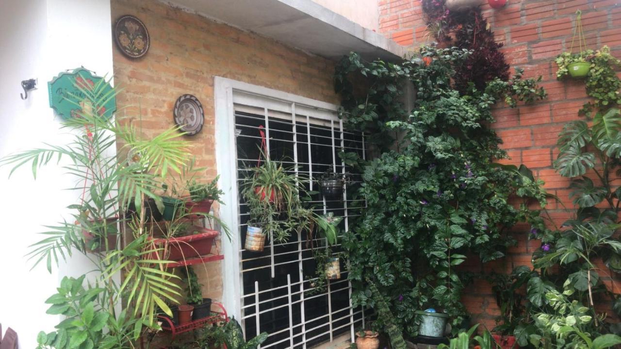 La Petite Maison De Diana Asunción Eksteriør bilde