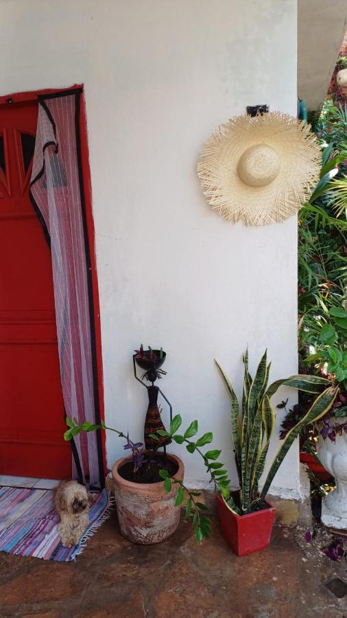 La Petite Maison De Diana Asunción Eksteriør bilde
