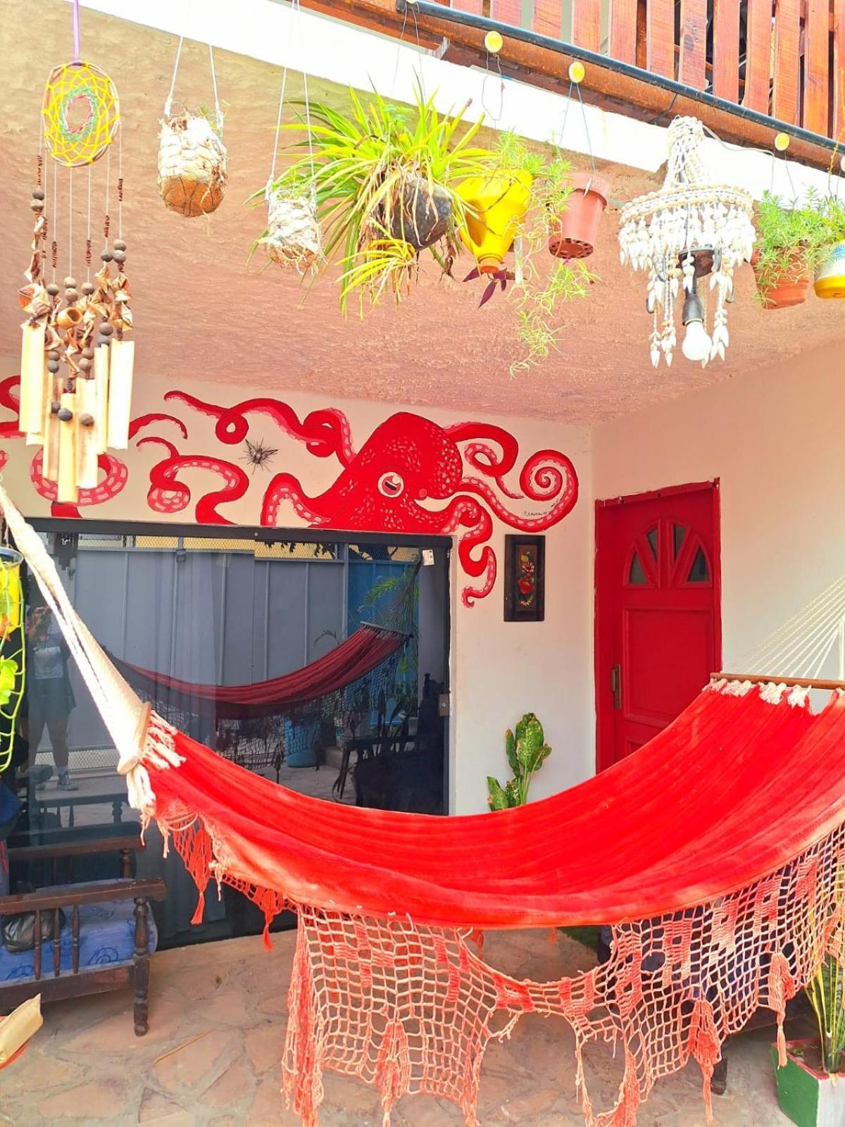 La Petite Maison De Diana Asunción Eksteriør bilde