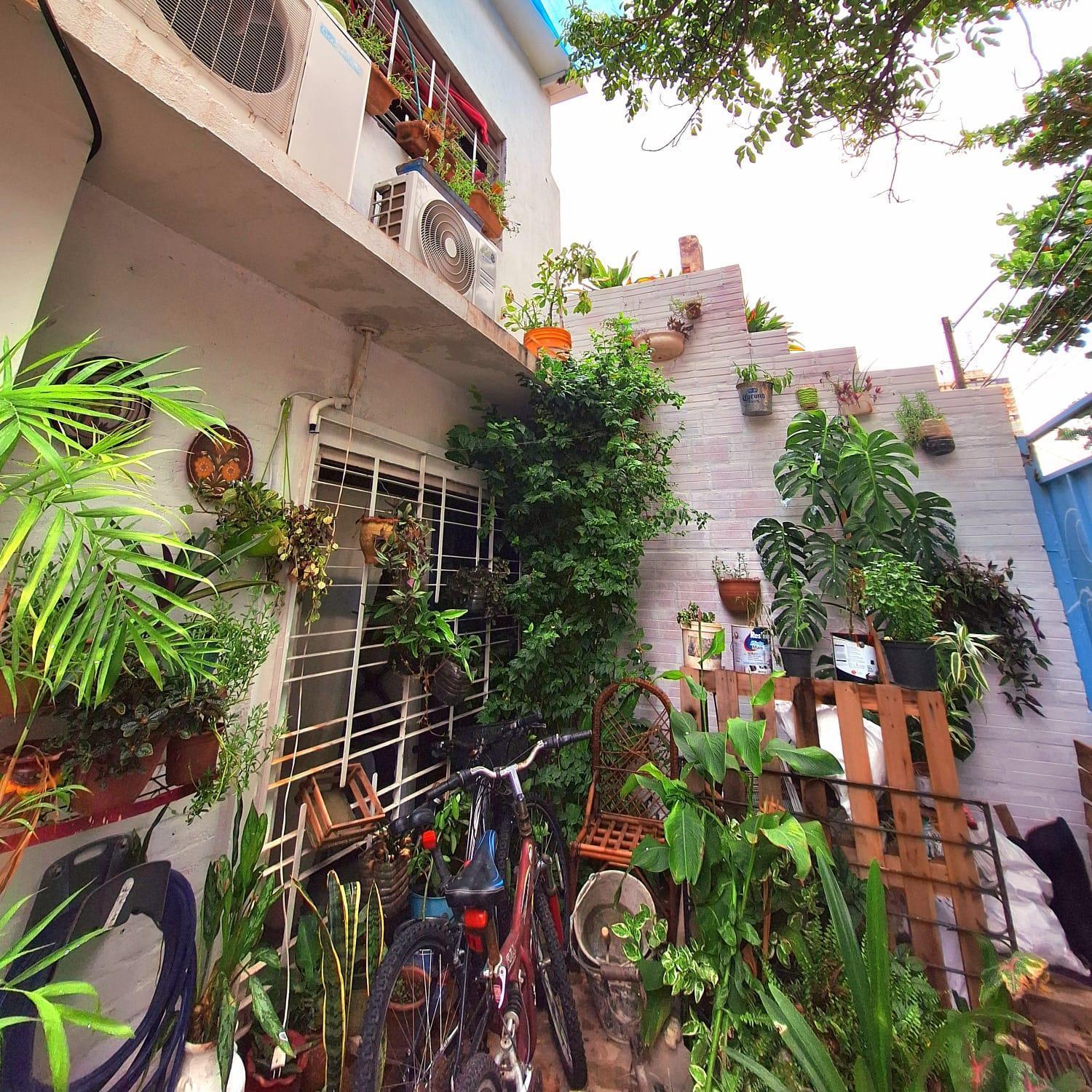 La Petite Maison De Diana Asunción Eksteriør bilde